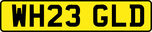 WH23GLD