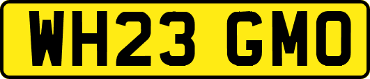 WH23GMO