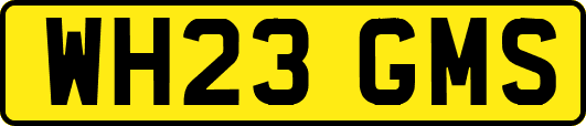 WH23GMS
