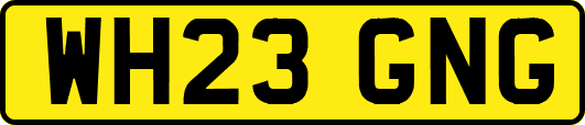 WH23GNG