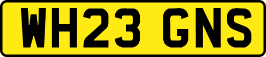 WH23GNS