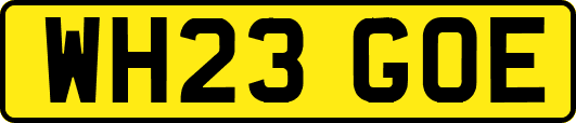WH23GOE