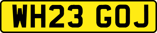 WH23GOJ