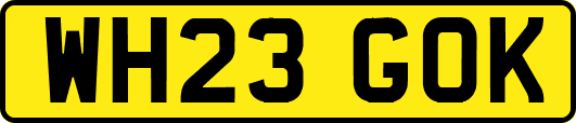 WH23GOK