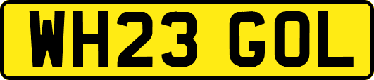 WH23GOL