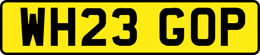 WH23GOP