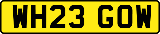 WH23GOW