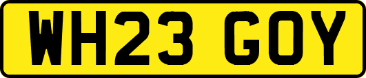 WH23GOY