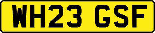 WH23GSF