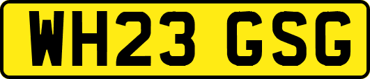 WH23GSG
