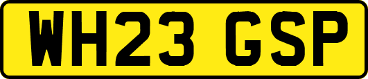 WH23GSP