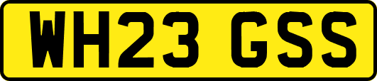 WH23GSS