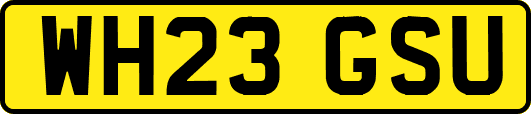 WH23GSU
