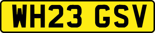 WH23GSV