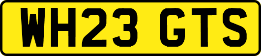WH23GTS