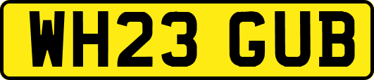 WH23GUB