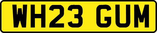 WH23GUM