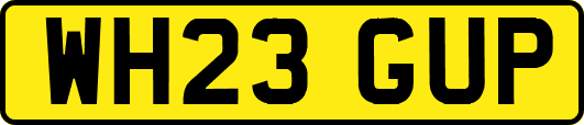 WH23GUP