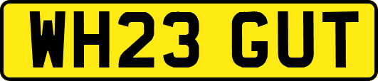 WH23GUT