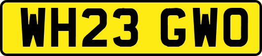 WH23GWO