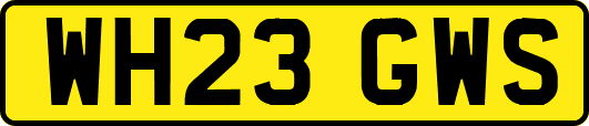 WH23GWS