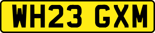 WH23GXM