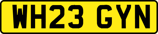 WH23GYN