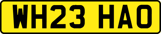 WH23HAO
