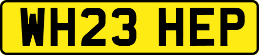 WH23HEP