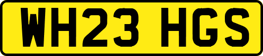 WH23HGS