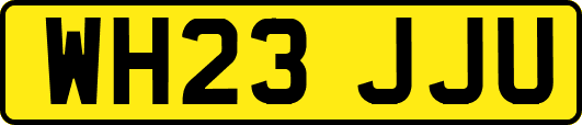 WH23JJU