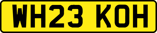 WH23KOH