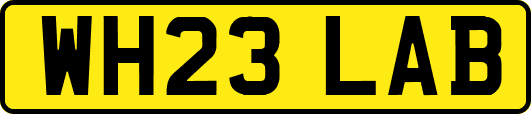 WH23LAB