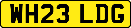 WH23LDG