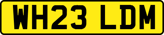 WH23LDM