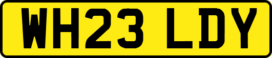 WH23LDY