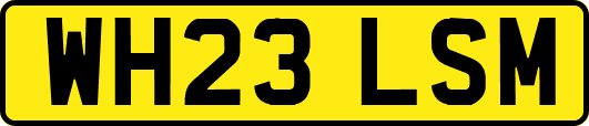 WH23LSM