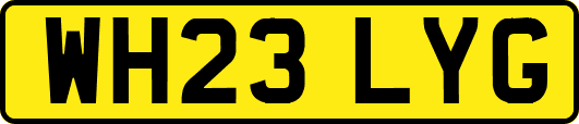 WH23LYG