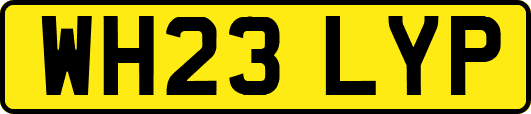 WH23LYP