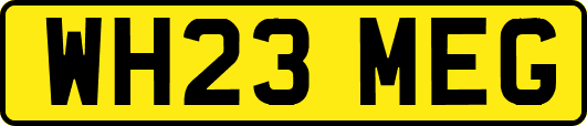 WH23MEG