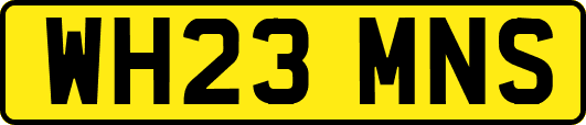 WH23MNS