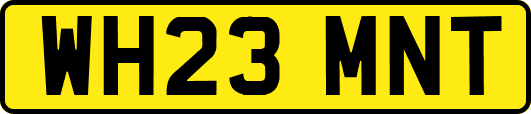 WH23MNT