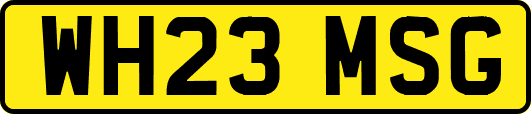 WH23MSG