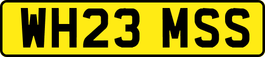 WH23MSS