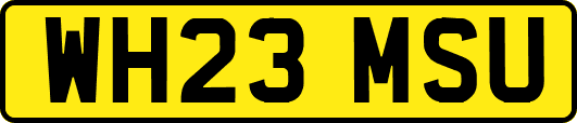 WH23MSU