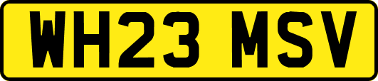 WH23MSV
