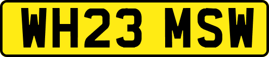 WH23MSW