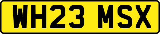 WH23MSX