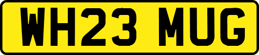 WH23MUG