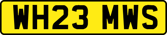 WH23MWS